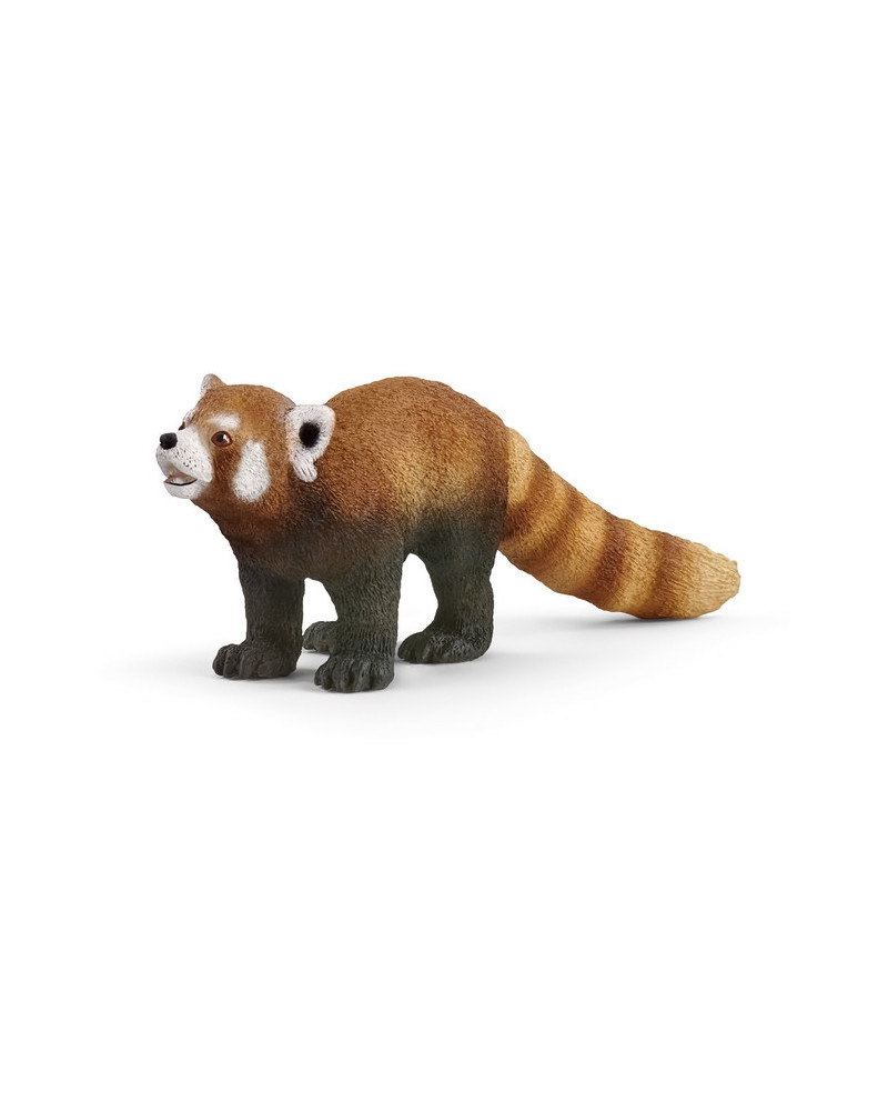 PANDA ROUX