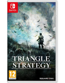 SWITCH TRIANGLE STRATEGY  FR