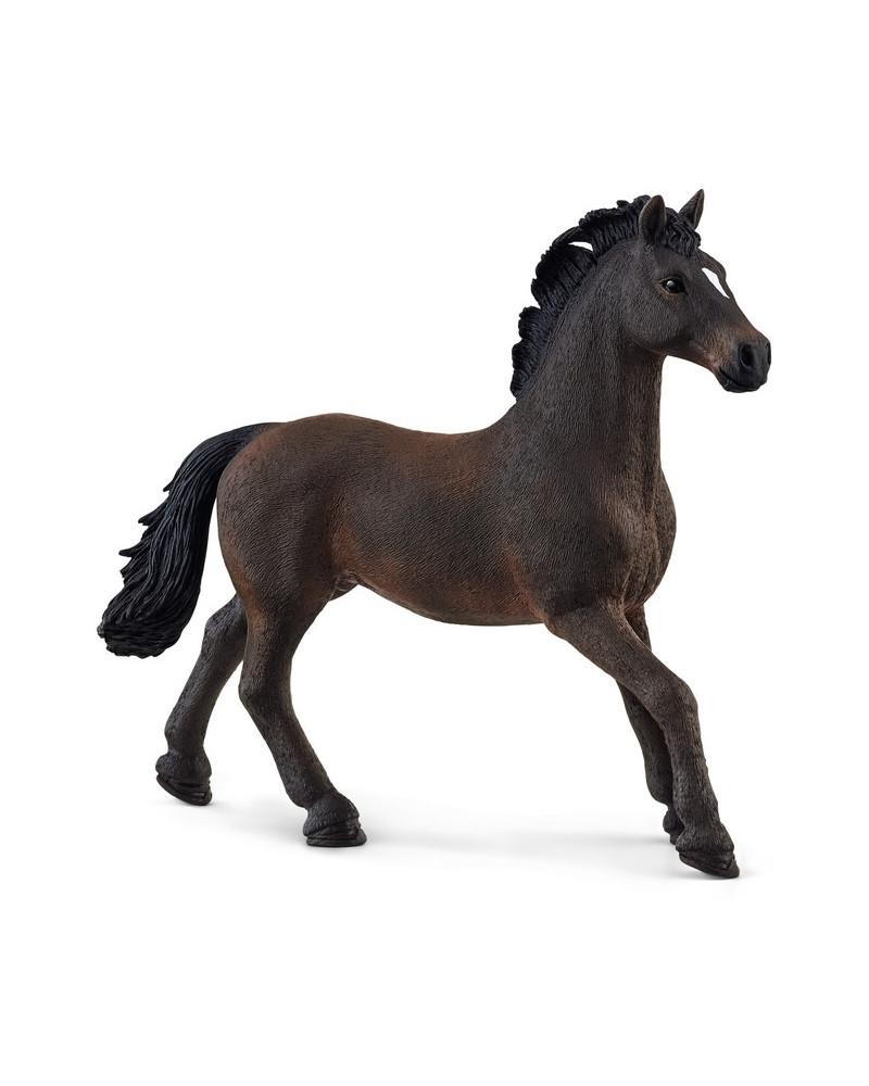ETALON OLDENBOURG