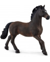 ETALON OLDENBOURG