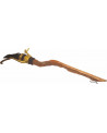 HARRY POTTER NIMBUS 2000