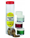 SET DE 4 GELS PAILLETES DT OR