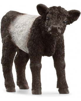 VEAU GALLOWAY