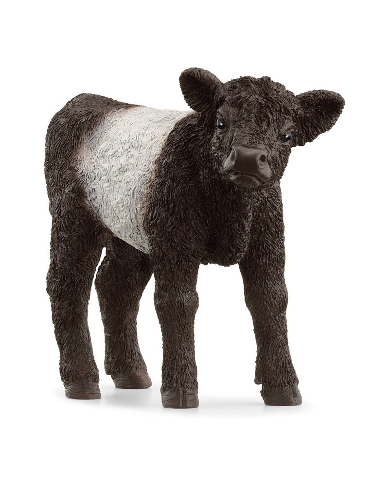 VEAU GALLOWAY