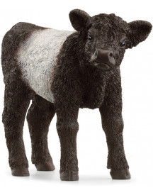 VEAU GALLOWAY