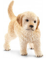 CHIOT GOLDEN RETRIEVER