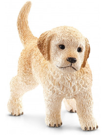 CHIOT GOLDEN RETRIEVER