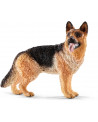 BERGER ALLEMAND FEMELLE