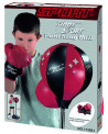 PUNCHING BALL SET + GLOVES