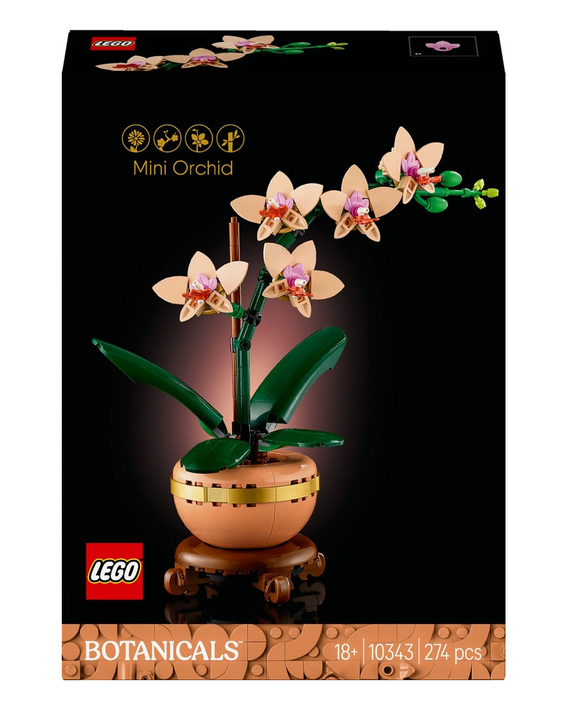 L'ORCHIDEE MINIATURE