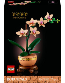 L'ORCHIDEE MINIATURE