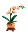 L'ORCHIDEE MINIATURE