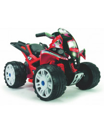 QUAD 12V THE BEAST ROUGE