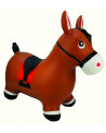 PONEY GONFLABLE + POMPE