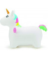 LICORNE GONFABLE + POMPE