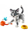 LE CHAT JOUEUR