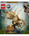 LES FOSSILES : LE CRANE DU TRICERATOPS
