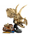LES FOSSILES : LE CRANE DU TRICERATOPS