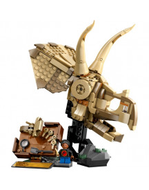 LES FOSSILES : LE CRANE DU TRICERATOPS