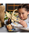 LES FOSSILES : LE CRANE DU TRICERATOPS