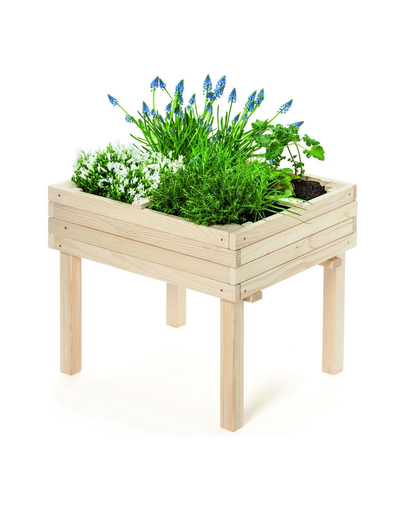 CARRE POTAGER SUR PIED 60X50CM