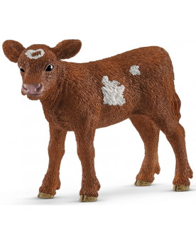 VEAU TEXAS LONGHORN