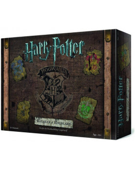 HARRY POTTER BATAILLE A...