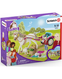 CALECHE POUR LE SPECTACLE EQUESTRE