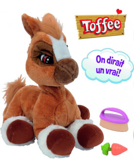 MON PONEY TOFFEE