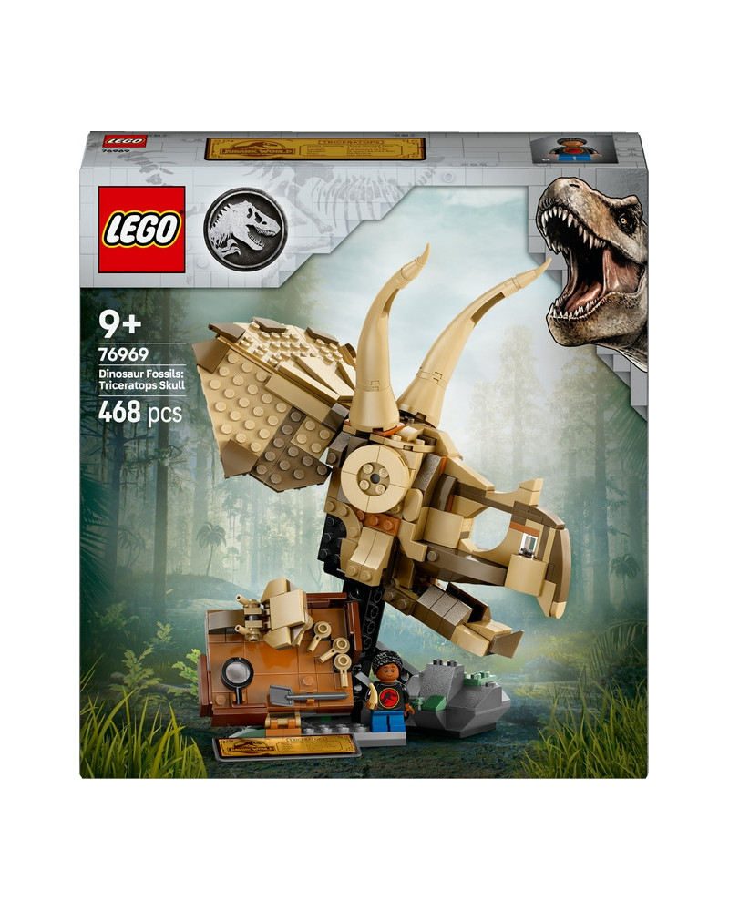 LES FOSSILES : LE CRANE DU TRICERATOPS