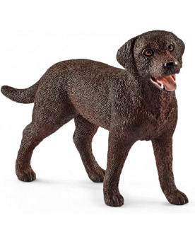 LABRADOR RETRIEVER, FEMELLE