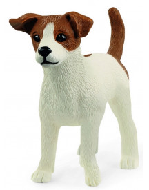 JACK RUSSELL TERRIER