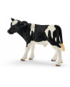 VEAU HOLSTEIN
