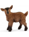CHEVREAU