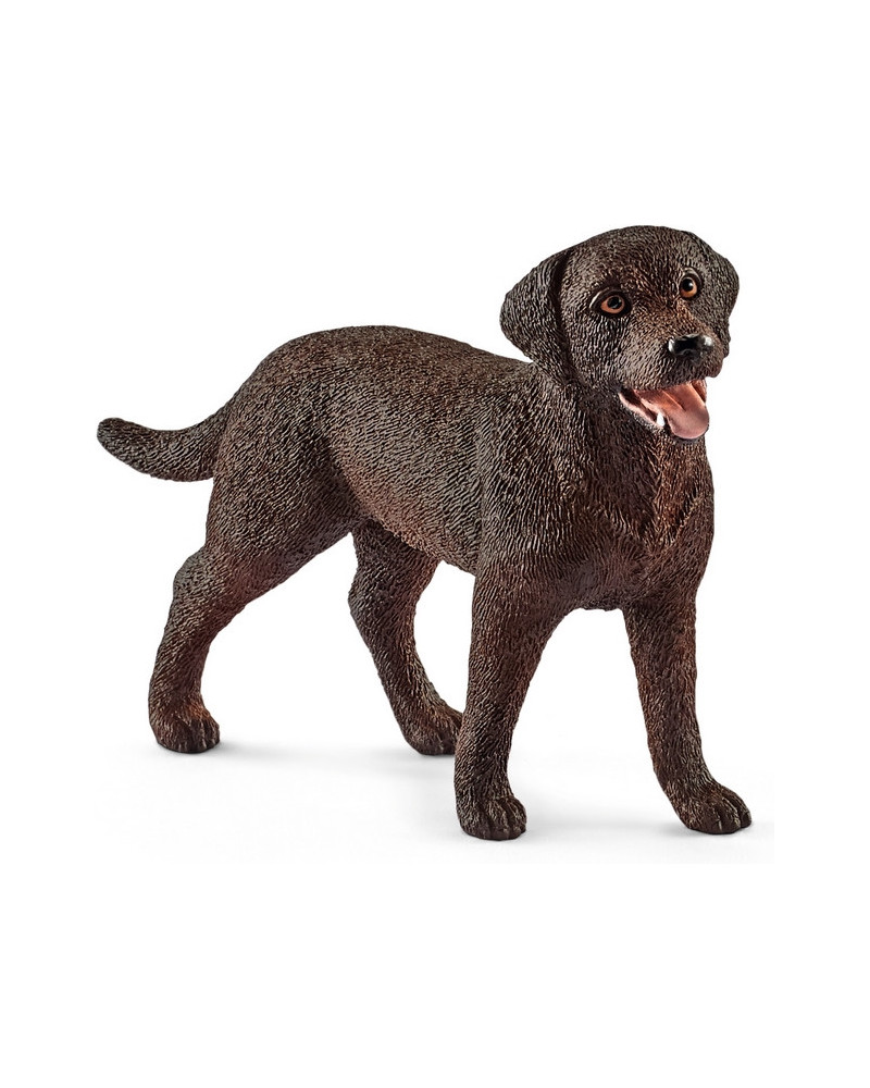 LABRADOR RETRIEVER, FEMELLE