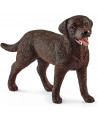 LABRADOR RETRIEVER, FEMELLE