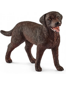 LABRADOR RETRIEVER, FEMELLE