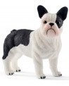 BOULEDOGUE FRANÇAIS