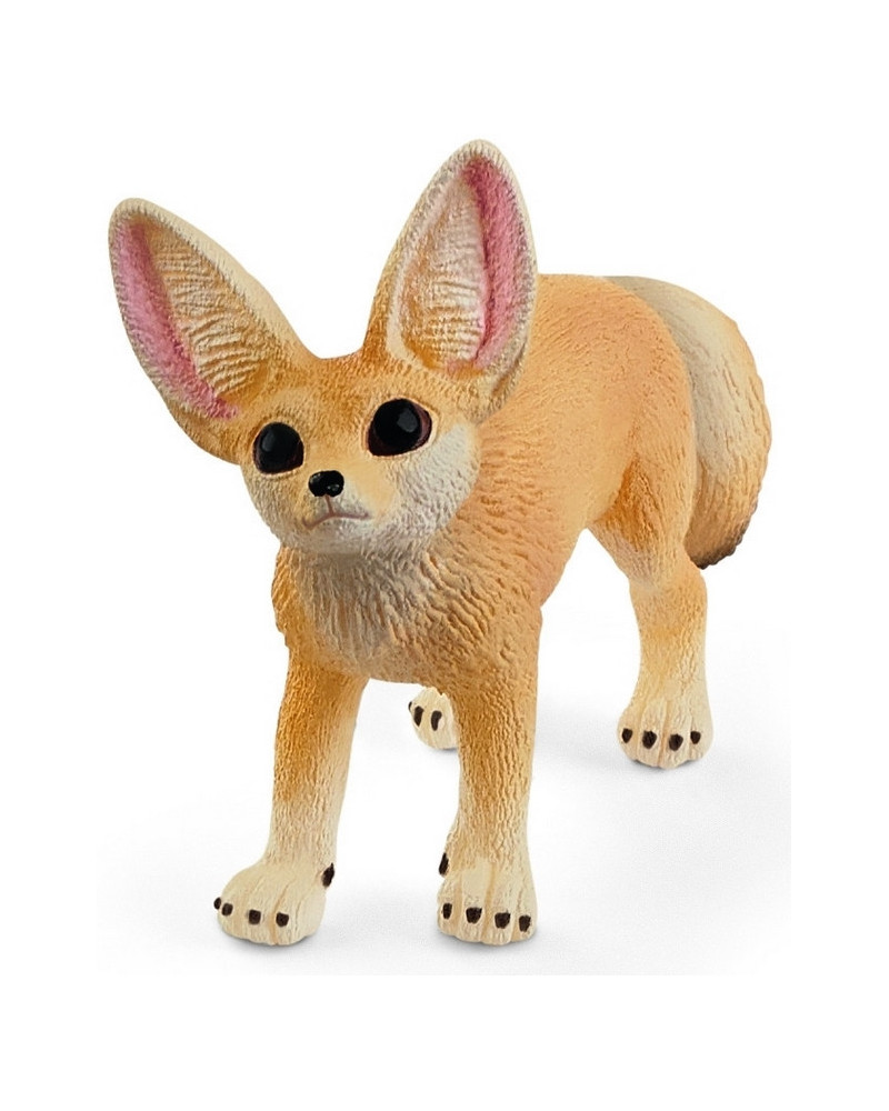 FENNEC