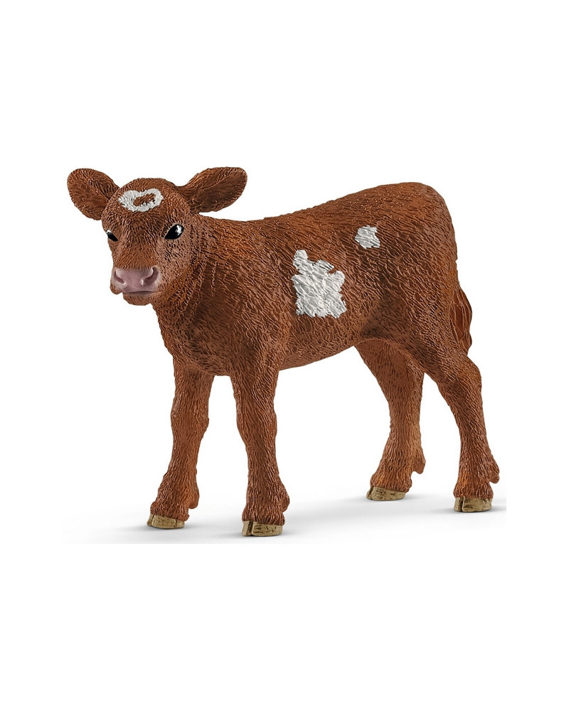 VEAU TEXAS LONGHORN