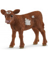 VEAU TEXAS LONGHORN