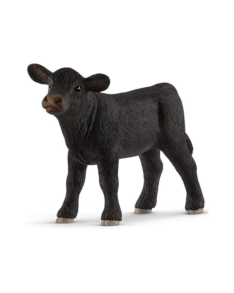 VEAU ANGUS