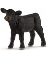 VEAU ANGUS