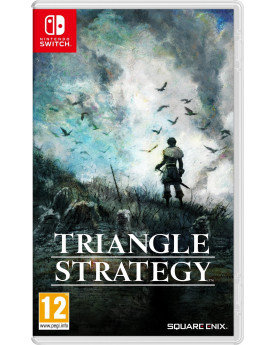 SWITCH TRIANGLE STRATEGY  FR