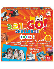 3.2.1. GO CHALLENGE PUZZLE