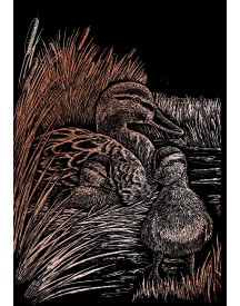 ROYAL BRUSH COPPERFOIL GRAVURE DOREE ASS