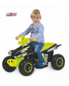 R-QUAD 6V NOIR/VERT