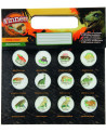 PACK 12 BILLES DINO 3D