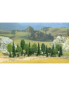 SACHET DE 35 ARBRES ASSORTIS 50A110MM