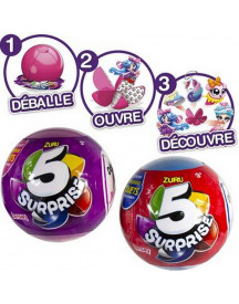 5 SURPRISES